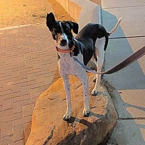 Meet your Posher, Mary